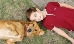 娱乐吃瓜酱去世的小狗,吃瓜酱离世，网友泪目