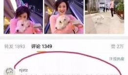 伟卓最新爆料视频,行业内幕大曝光！