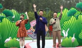 陈大锤最新爆料消息视频,最新爆料视频深度解析